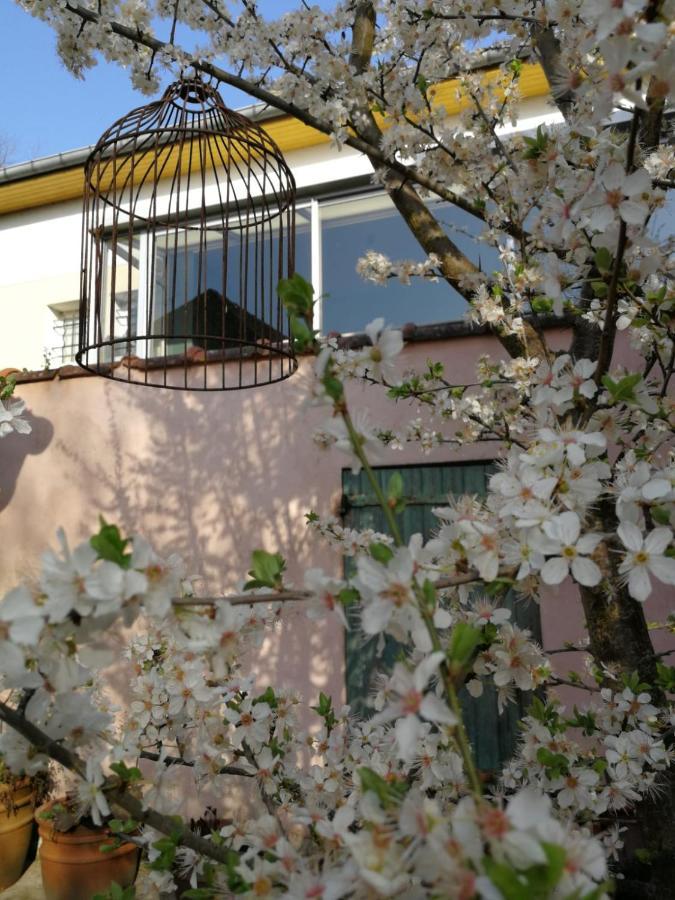 Un Verger Dans La Ville Saint-Parres-aux-Tertres Bagian luar foto