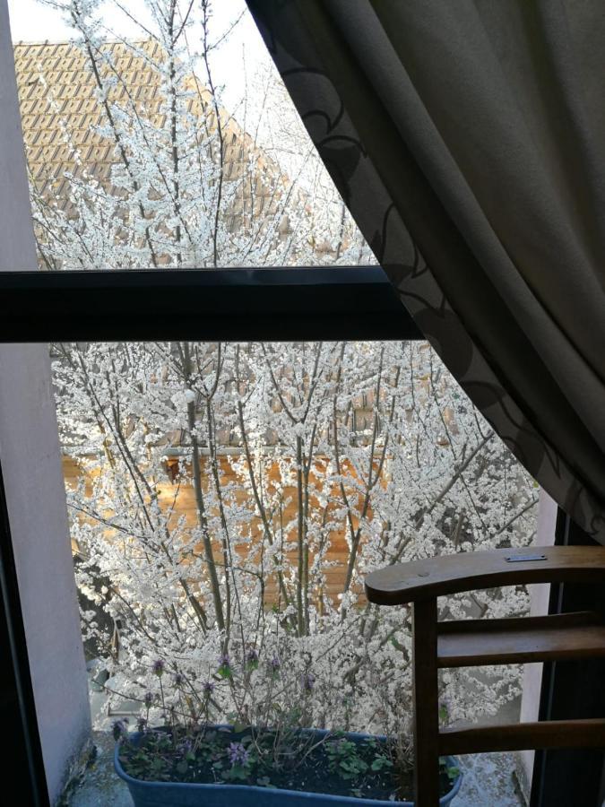 Un Verger Dans La Ville Saint-Parres-aux-Tertres Bagian luar foto
